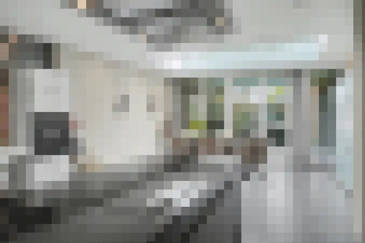 Molenakker 29 Reusel thumbnail 18