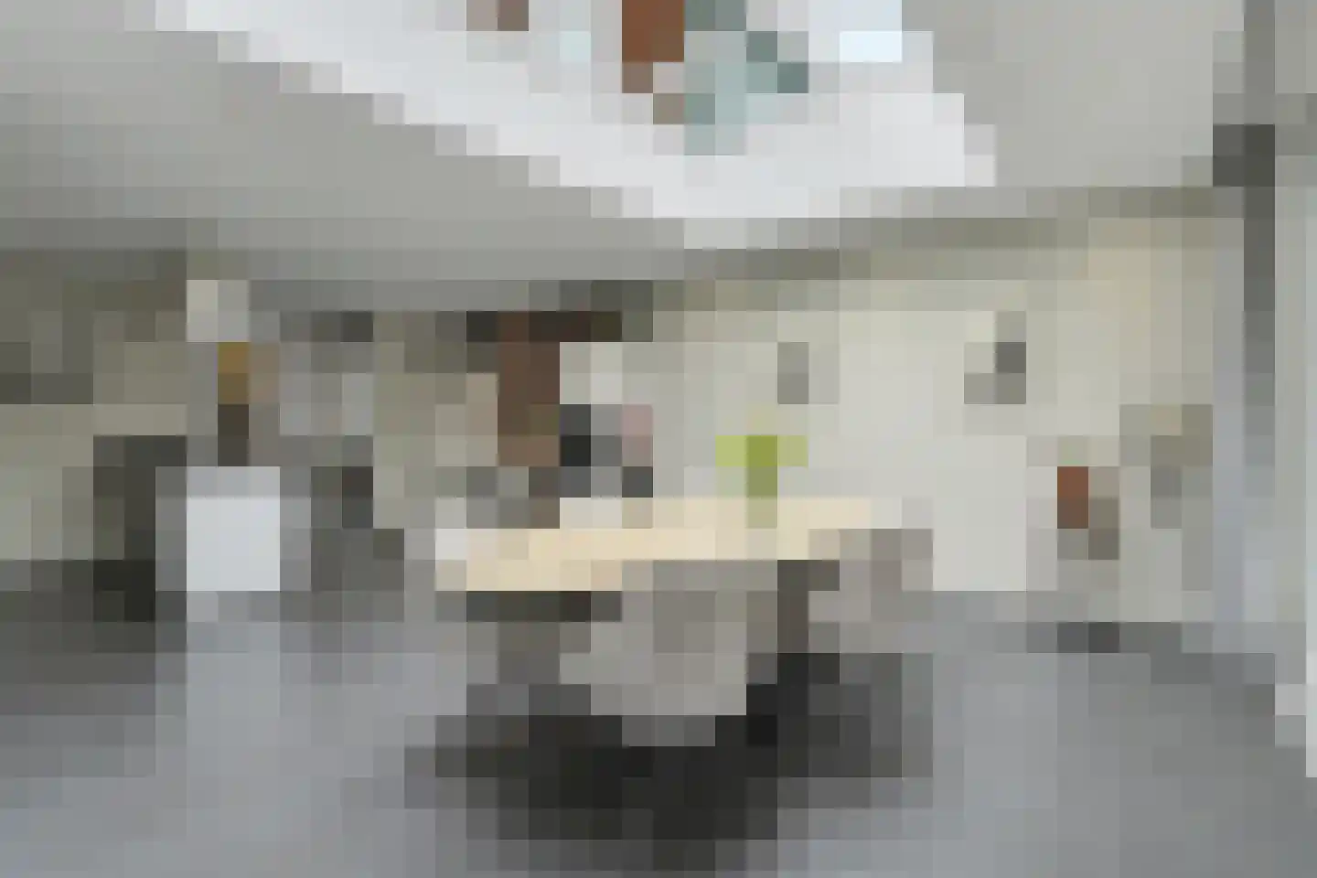 Molenakker 29 Reusel thumbnail 22