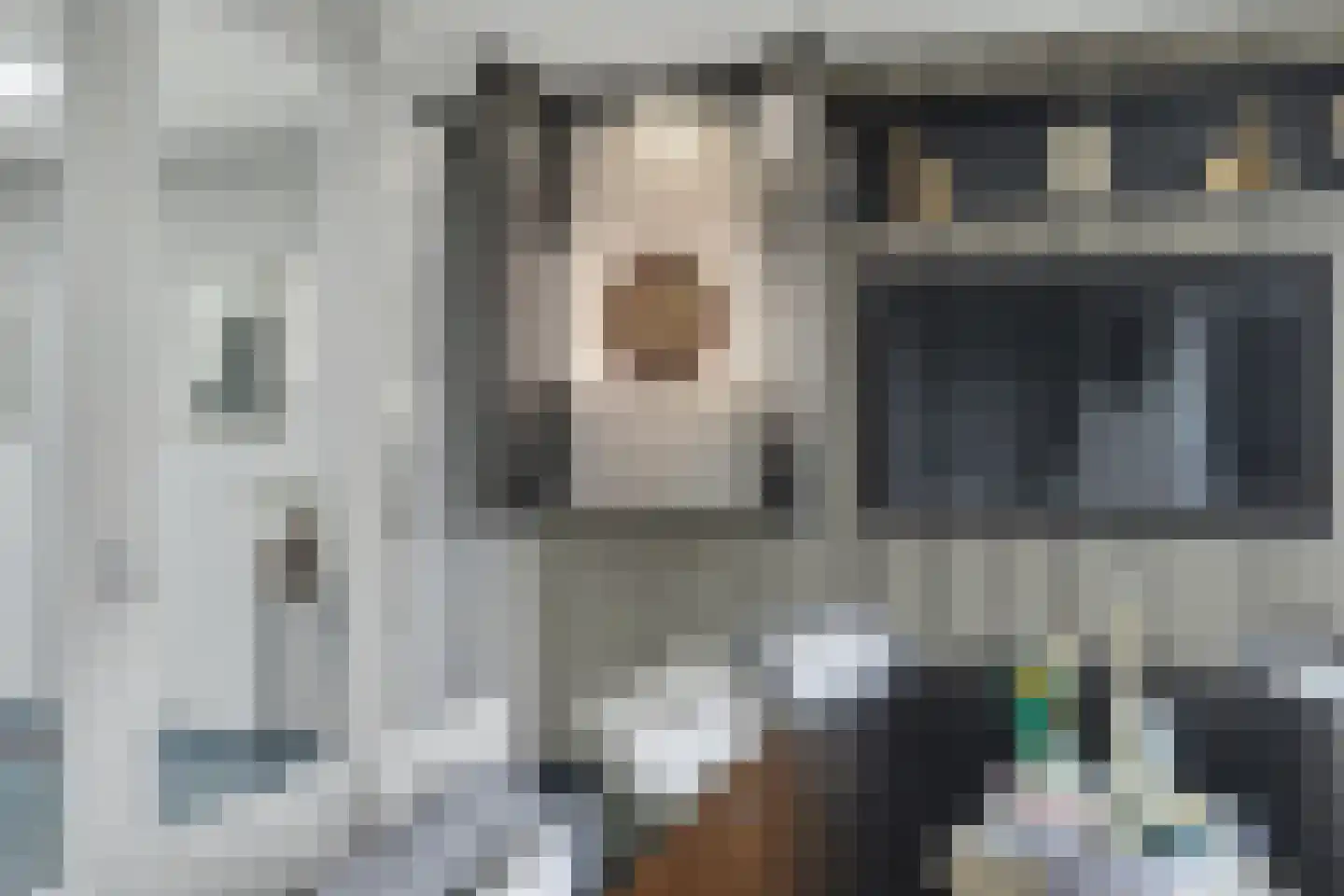 Molenakker 29 Reusel thumbnail 28