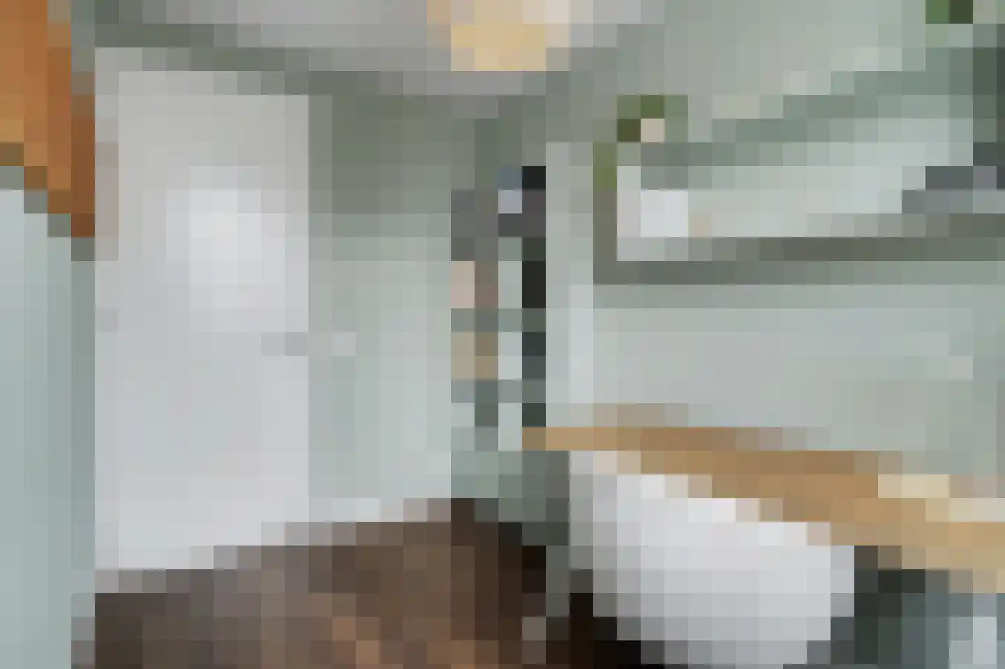 Molenakker 29 Reusel thumbnail 37