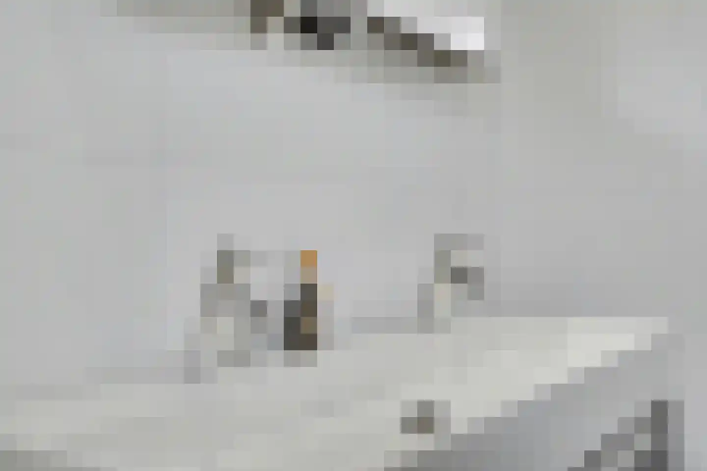 Molenakker 29 Reusel thumbnail 42
