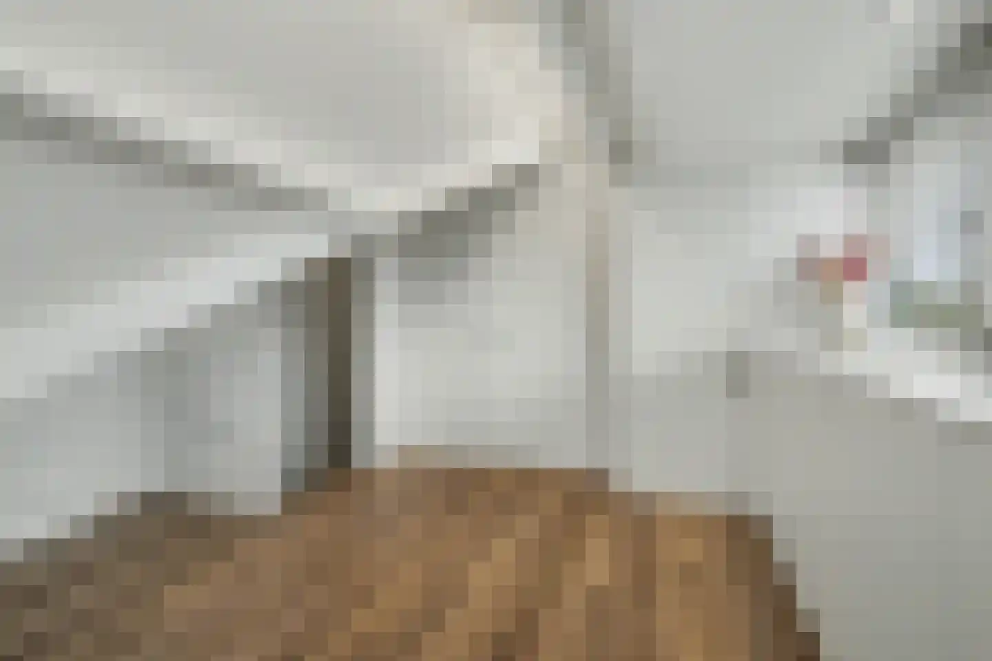 Molenakker 29 Reusel thumbnail 43