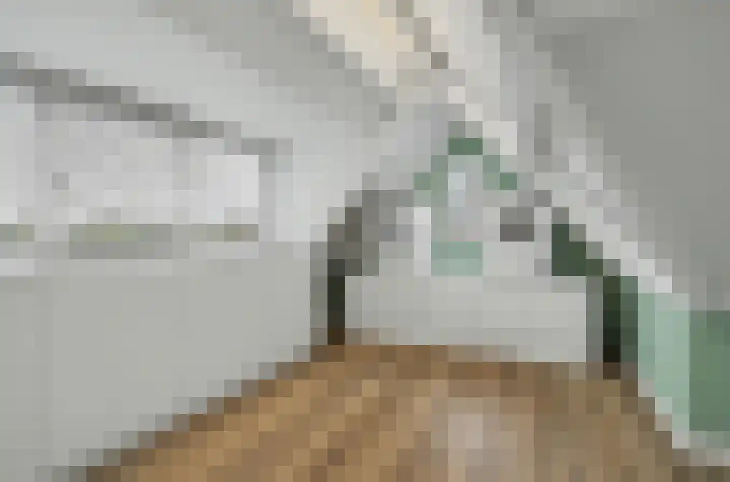 Molenakker 29 Reusel thumbnail 44
