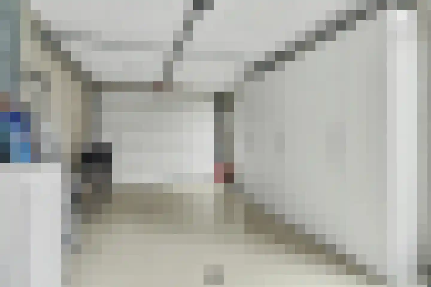Molenakker 29 Reusel thumbnail 58