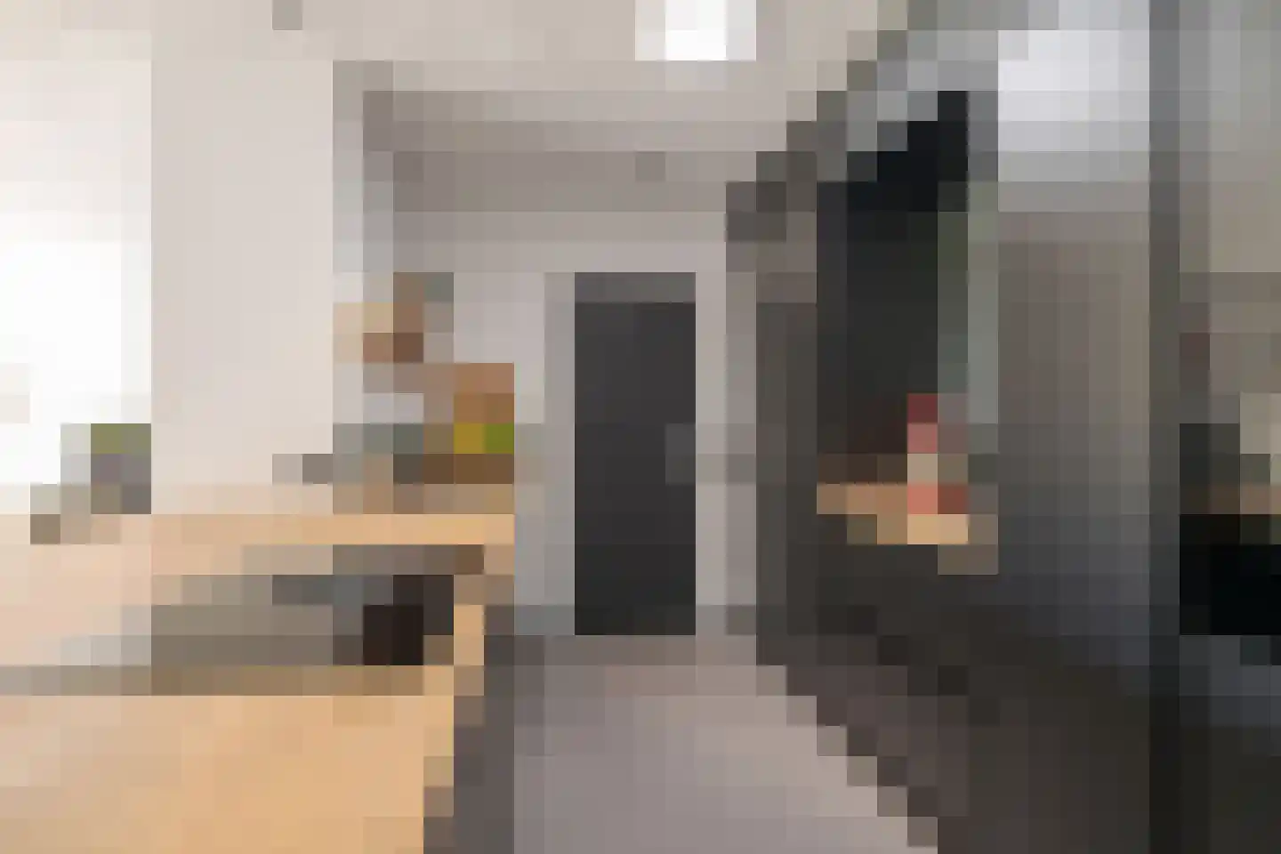 Molenakker 3 Den Hout thumbnail 12