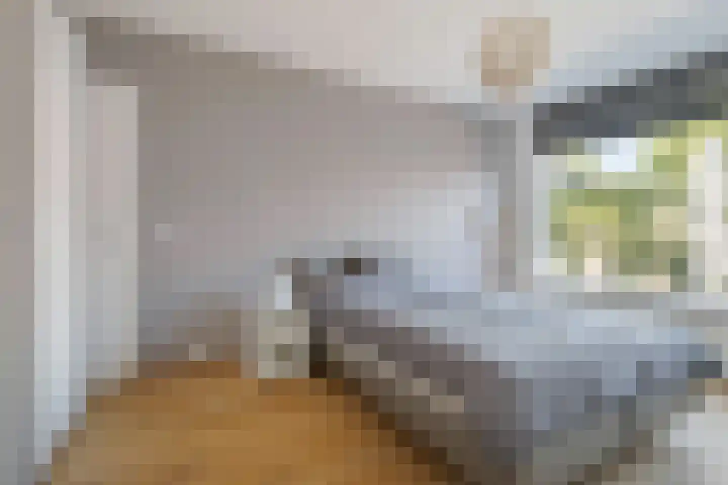 Molenakker 3 Den Hout thumbnail 18