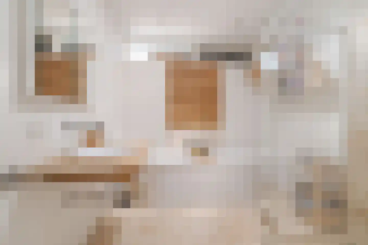 Molenakker 3 Den Hout thumbnail 21