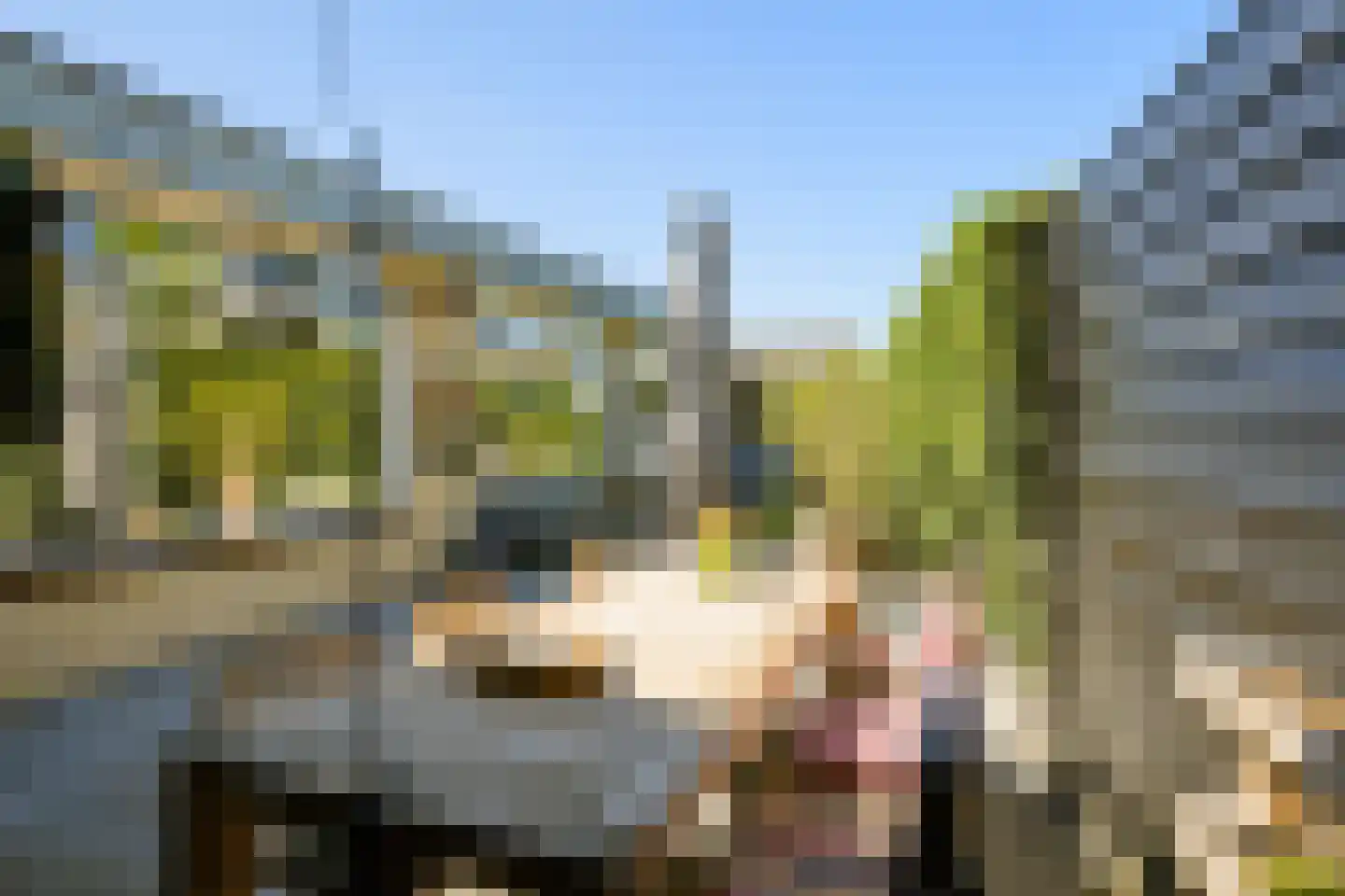 Molenakker 3 Den Hout thumbnail 29