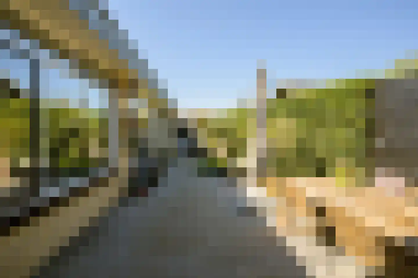Molenakker 3 Den Hout thumbnail 32