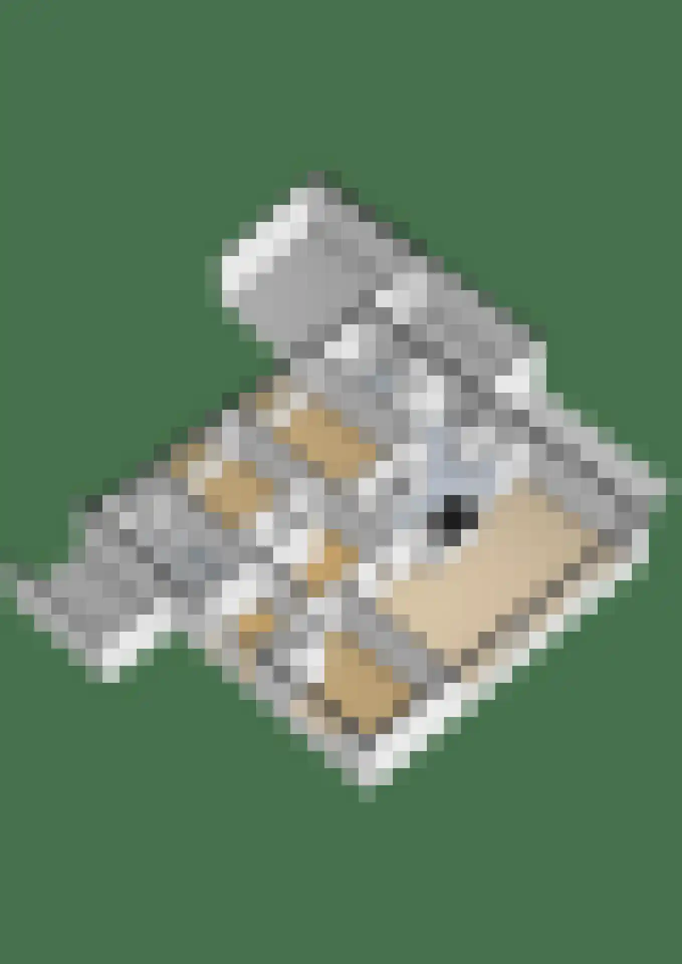 Molenakker 3 Den Hout thumbnail 41