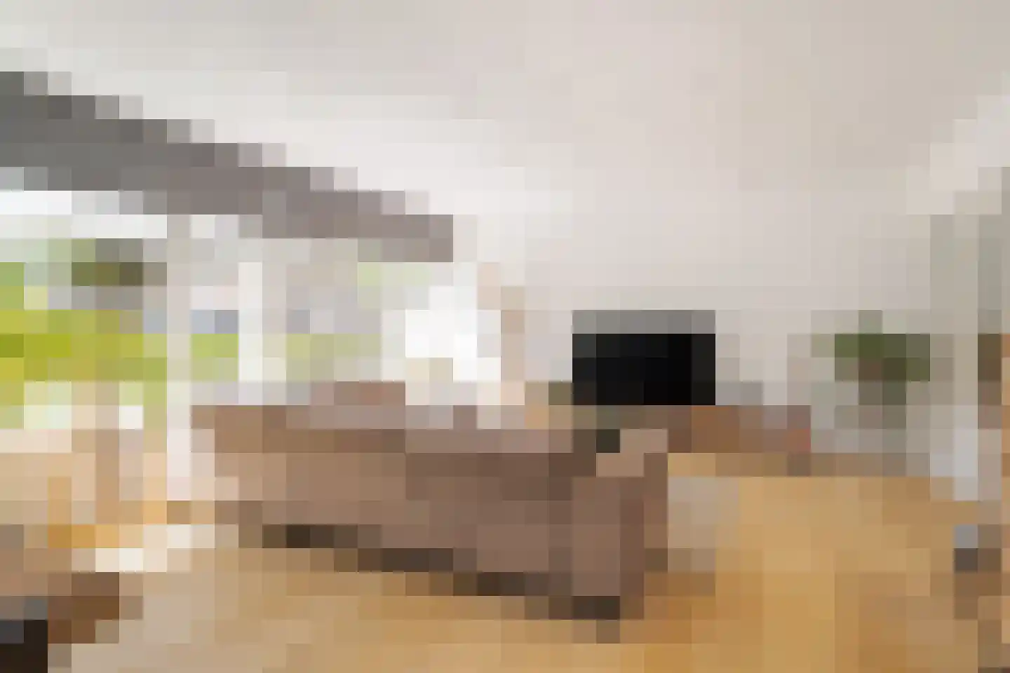 Molenakker 3 Den Hout thumbnail 5