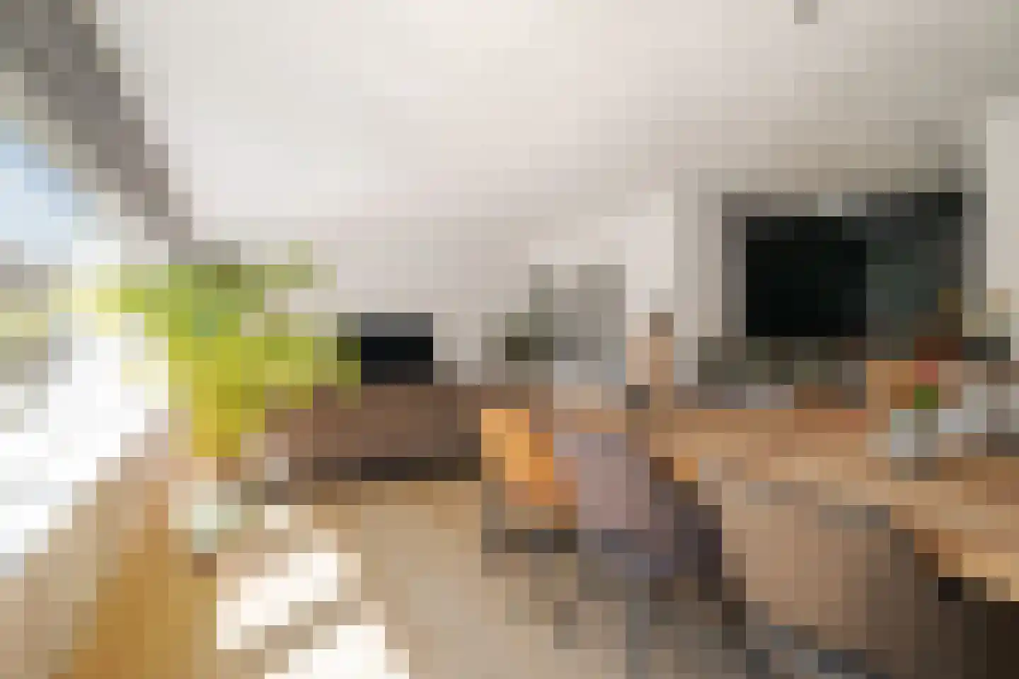 Molenakker 3 Den Hout thumbnail 9