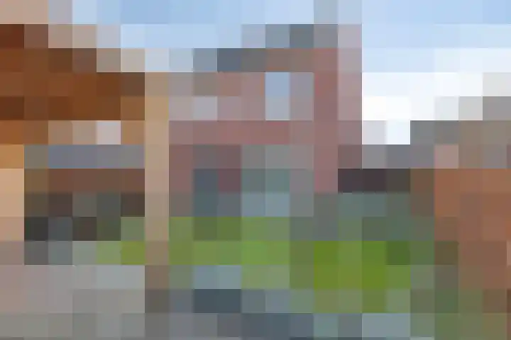 Molenakker 3 Roermond thumbnail 39