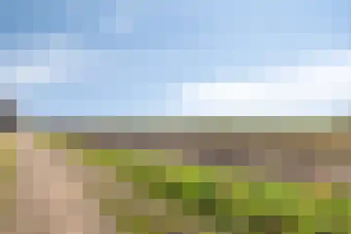 Molenakker 3 Roermond thumbnail 44