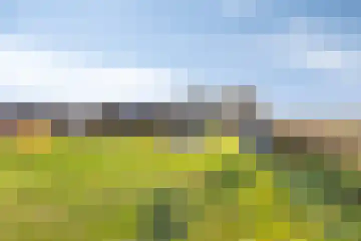 Molenakker 3 Roermond thumbnail 45