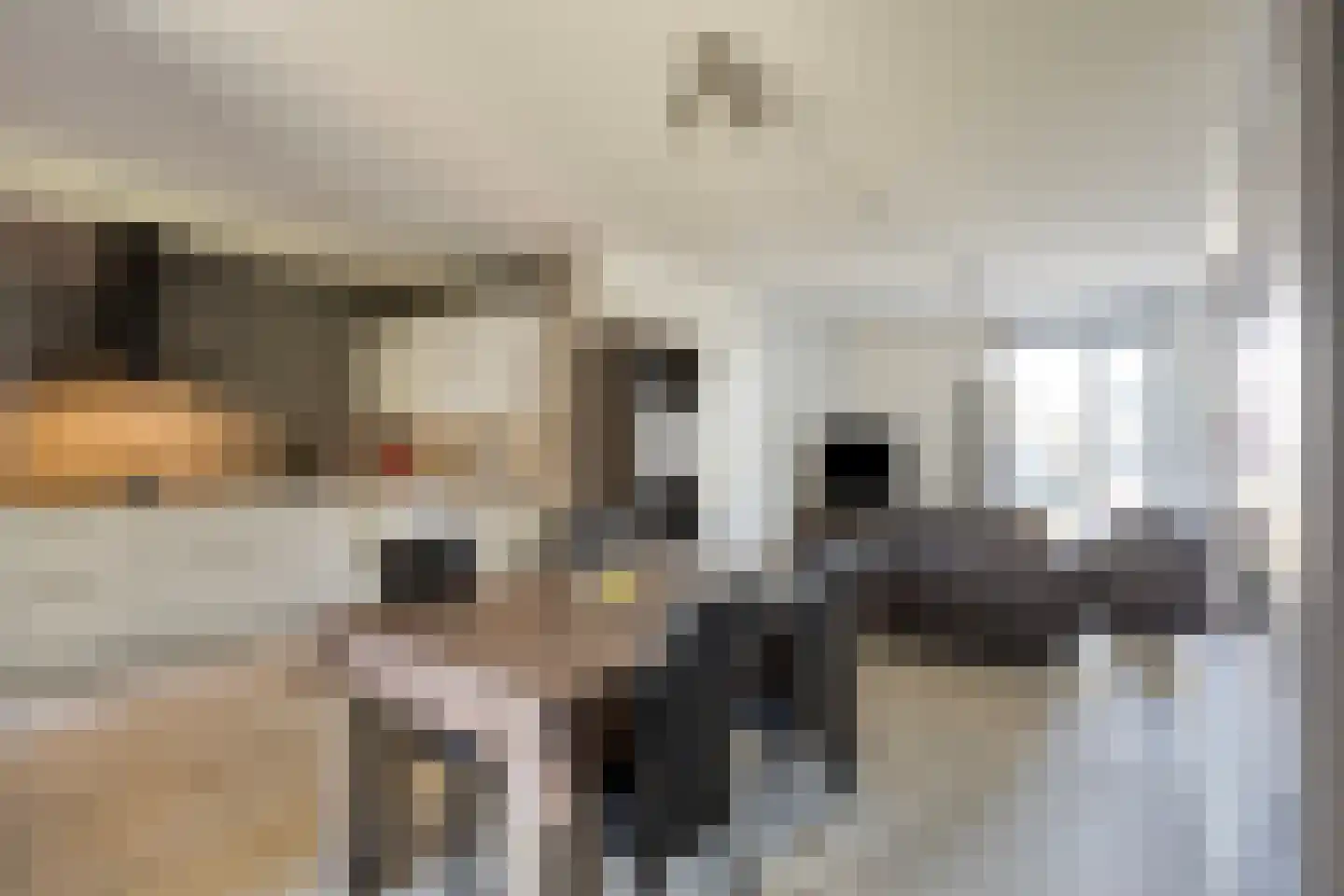 Molenakker 31 Roermond thumbnail 15