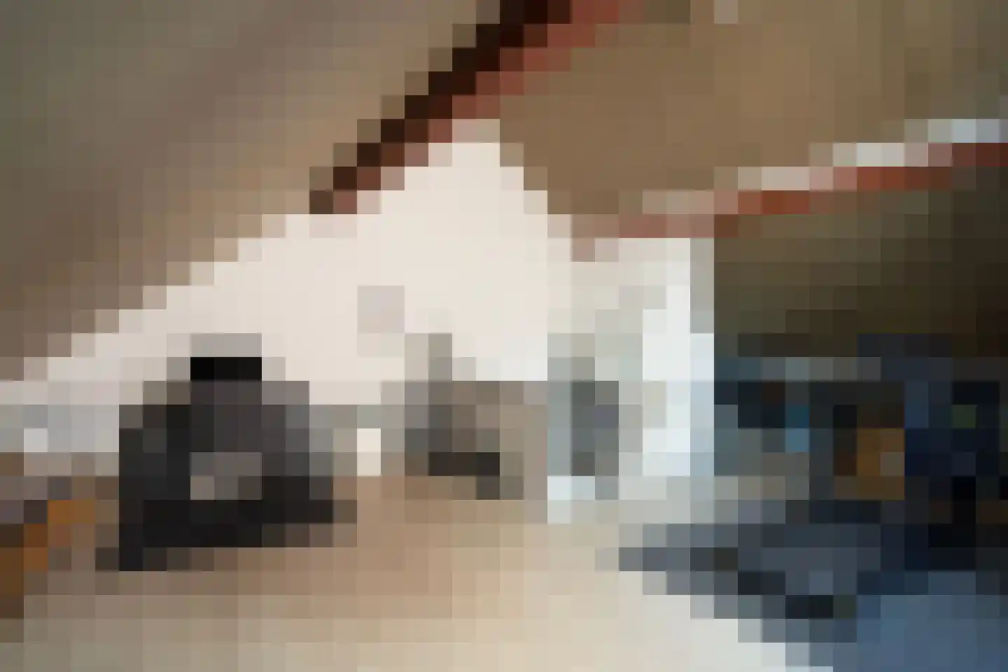 Molenakker 31 Roermond thumbnail 23