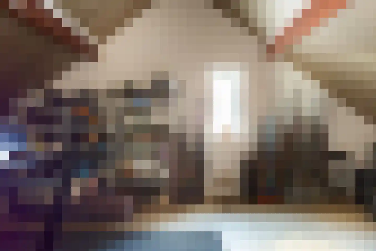 Molenakker 31 Roermond thumbnail 24