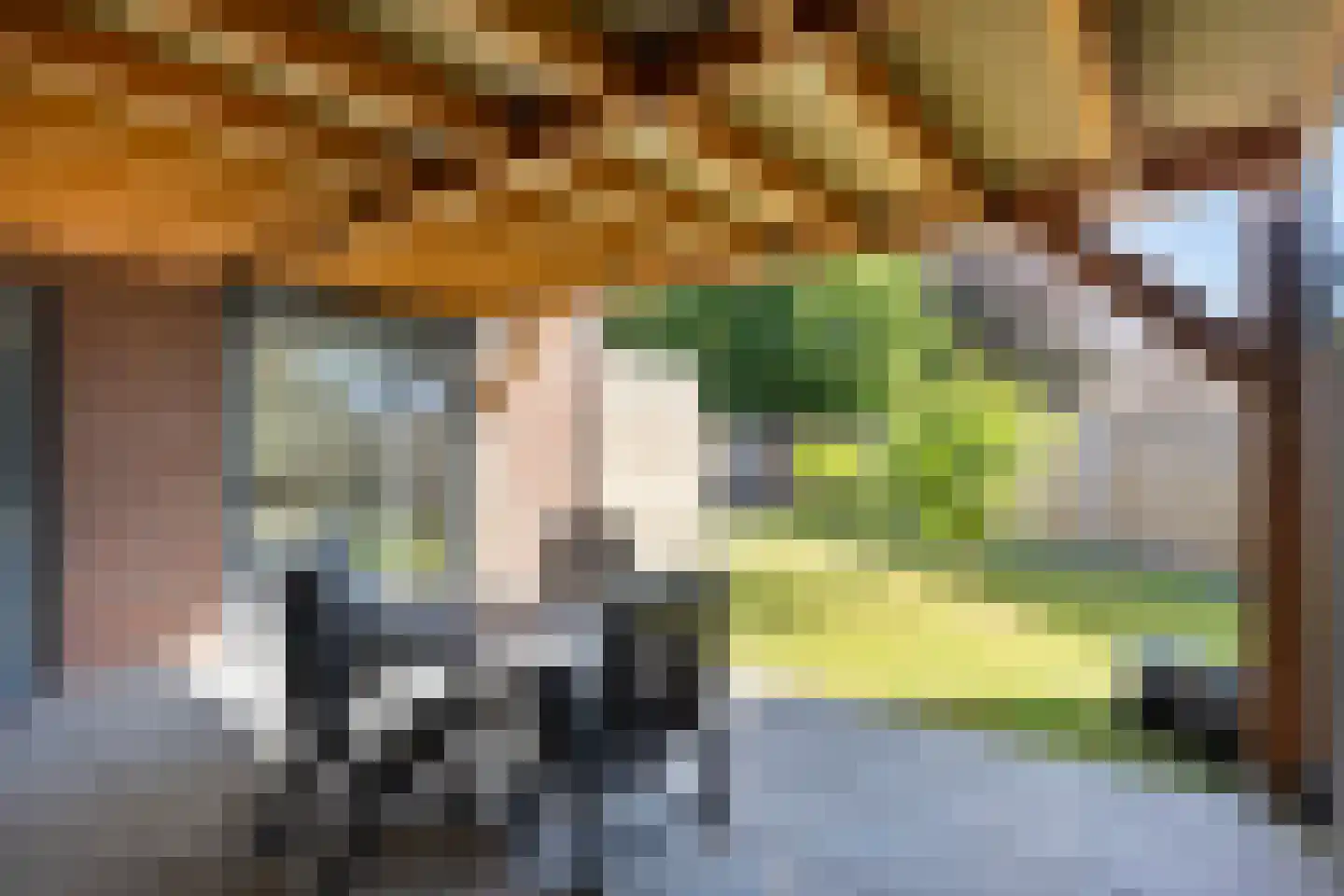 Molenakker 31 Roermond thumbnail 25