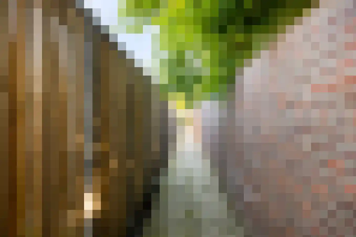 Molenakker 31 Roermond thumbnail 31