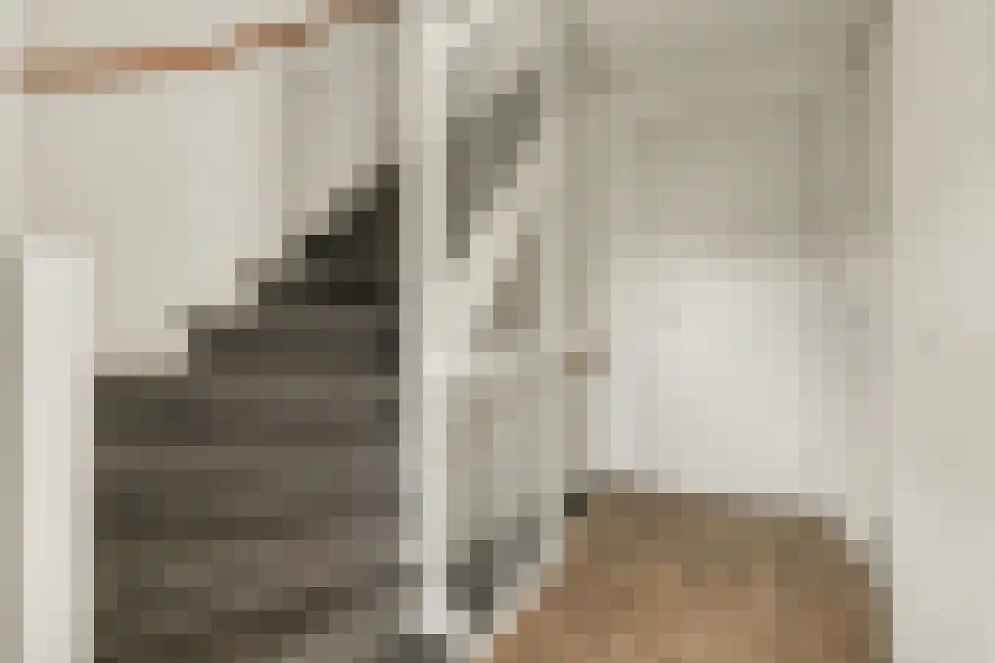 Molenakker 32 Reusel thumbnail 11