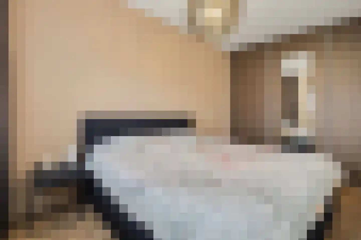 Molenakker 32 Reusel thumbnail 18