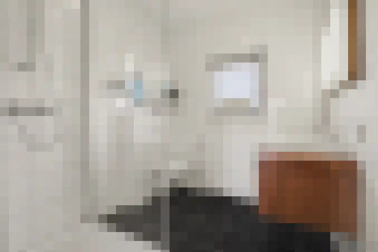 Molenakker 32 Reusel thumbnail 20