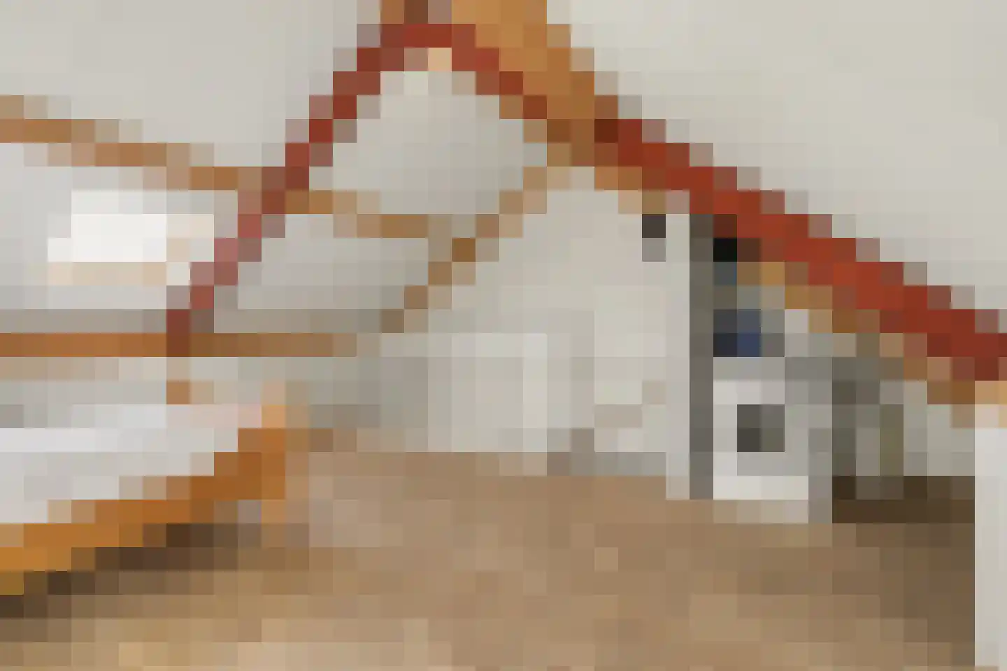 Molenakker 32 Reusel thumbnail 25