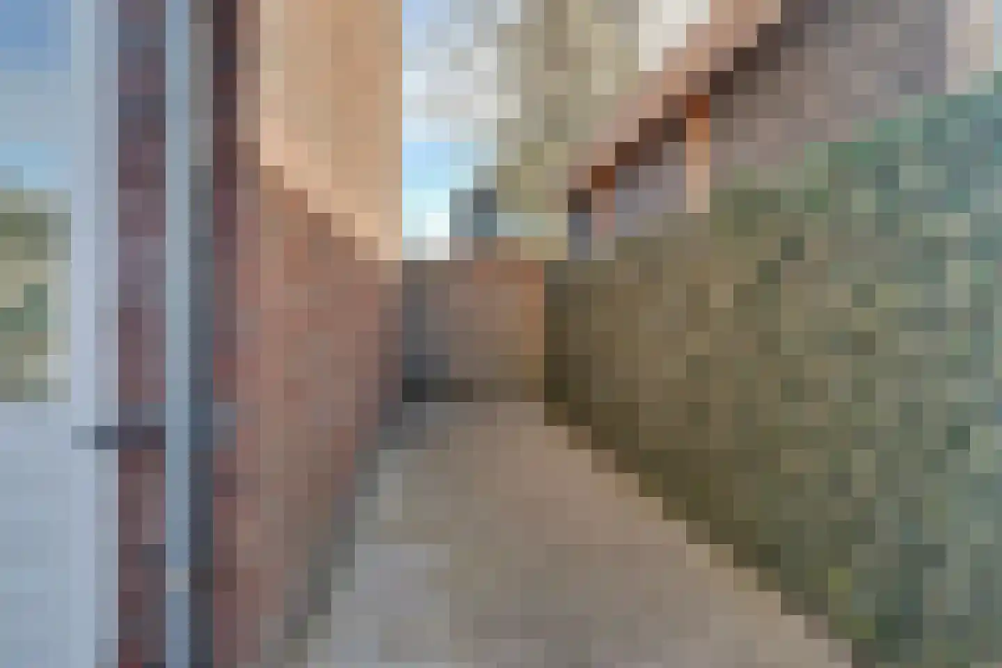 Molenakker 32 Reusel thumbnail 31