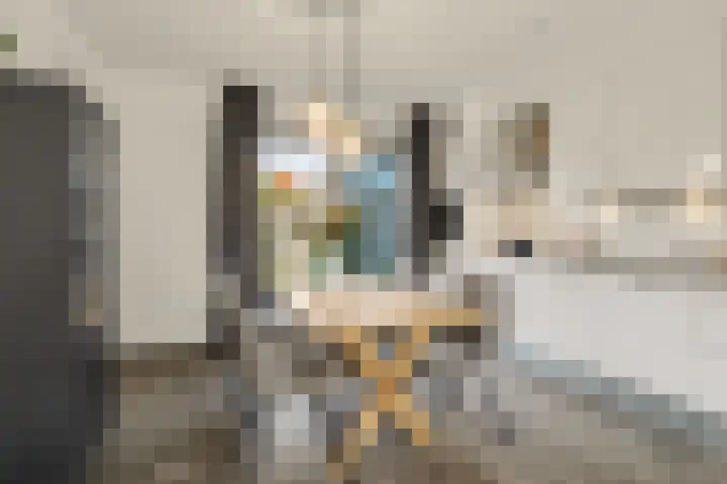 Molenakker 32 Reusel thumbnail 7