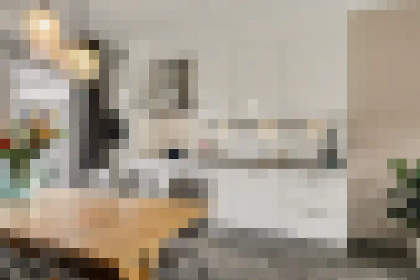Molenakker 32 Reusel thumbnail 8