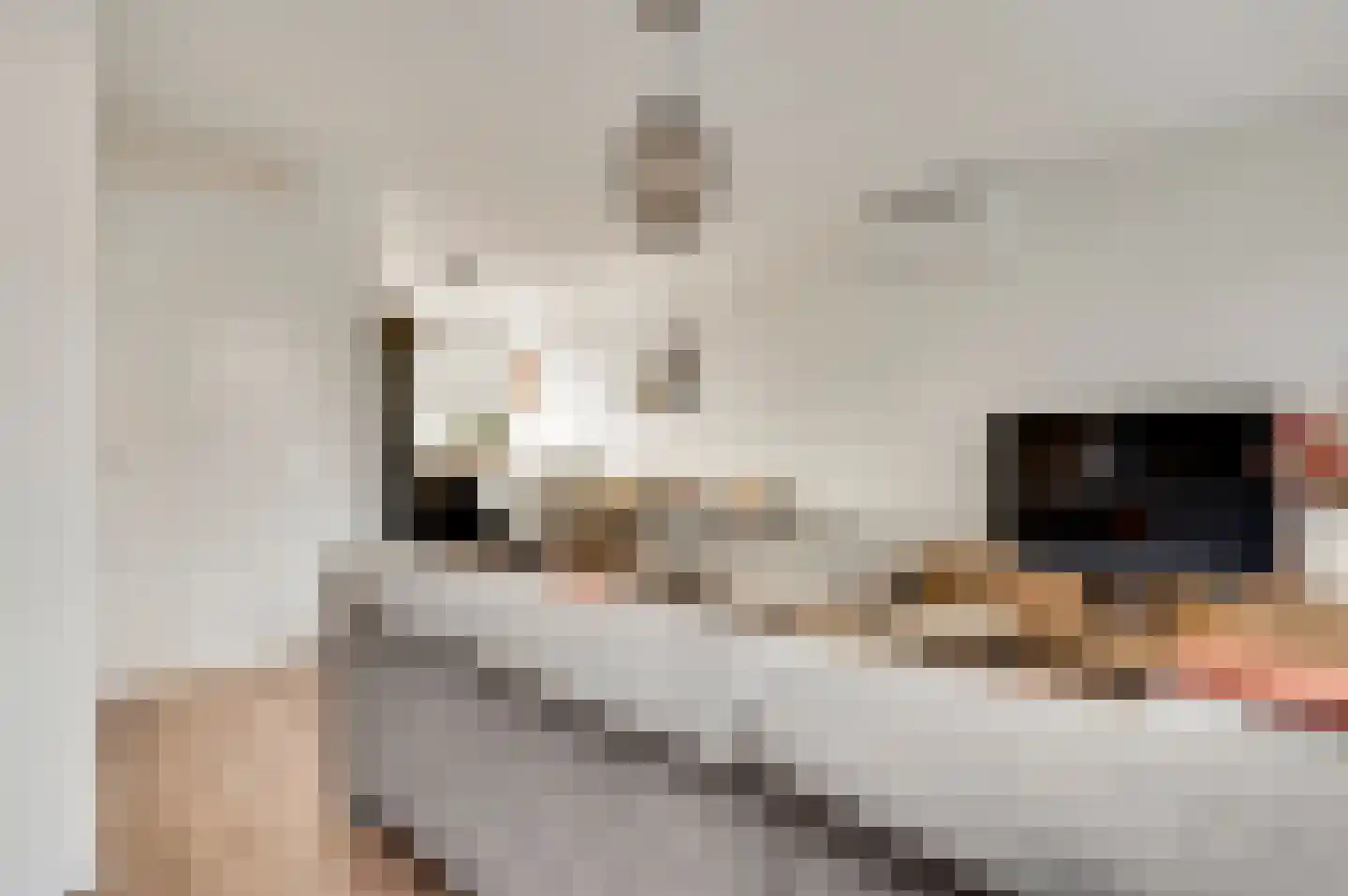 Molenakker 34 Roermond thumbnail 10