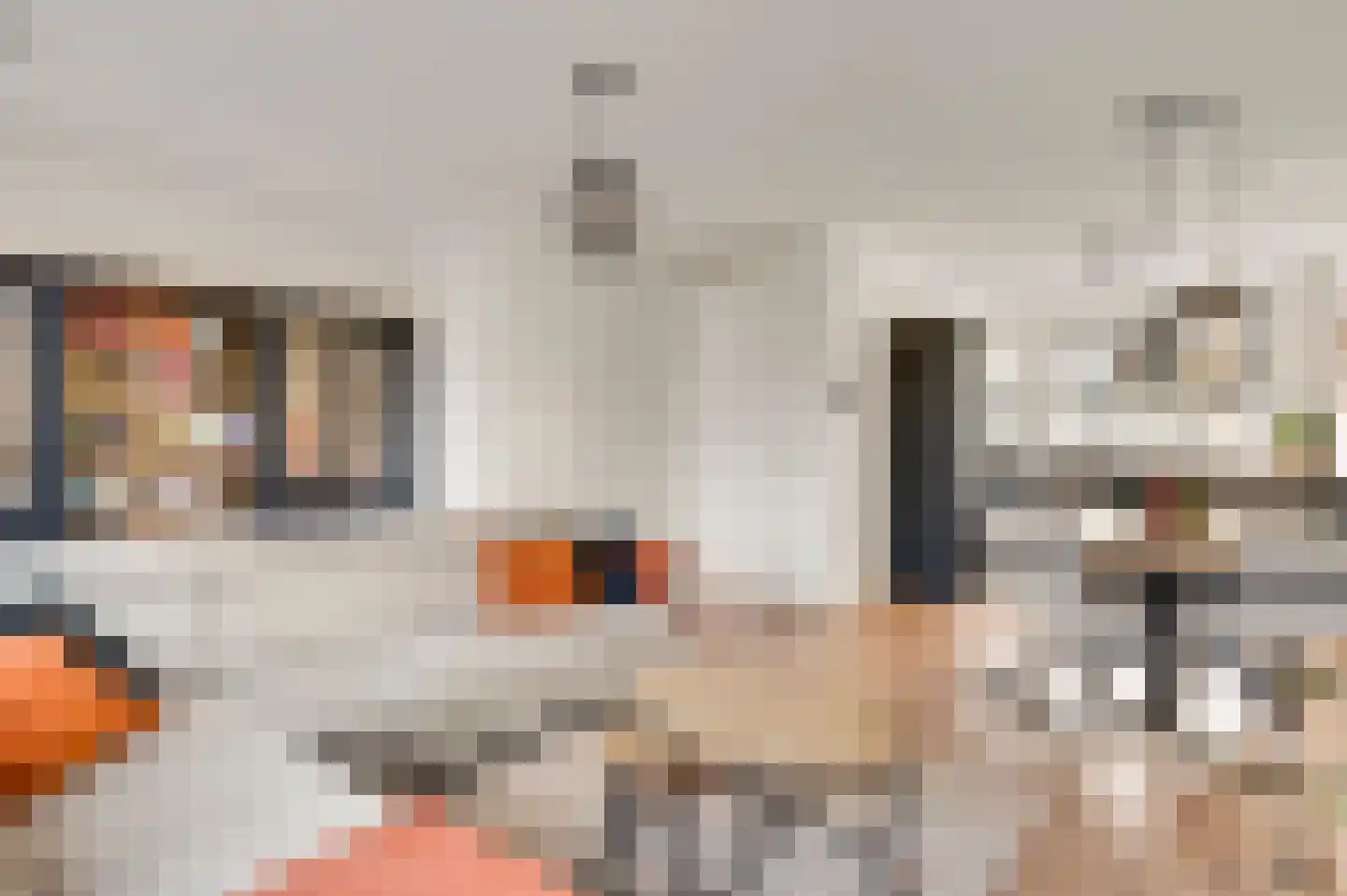 Molenakker 34 Roermond thumbnail 13