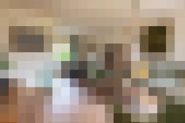 Molenakker 7 Berkel-Enschot thumbnail 10
