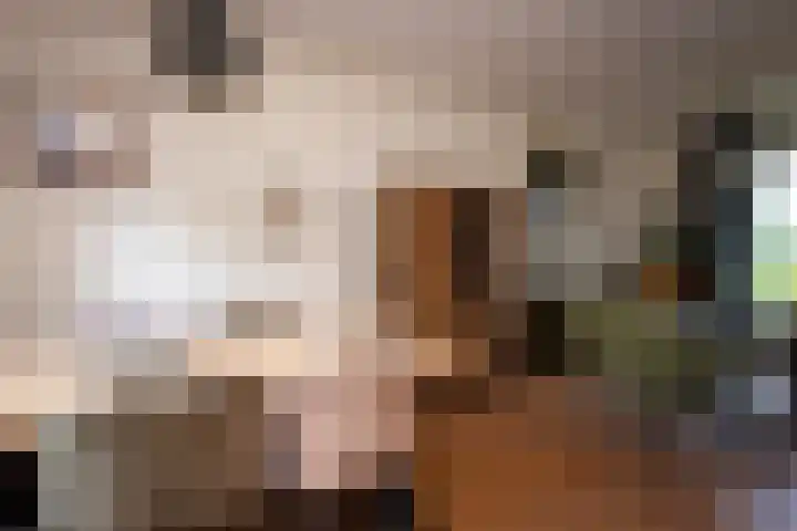 Molenakker 7 Berkel-Enschot thumbnail 13