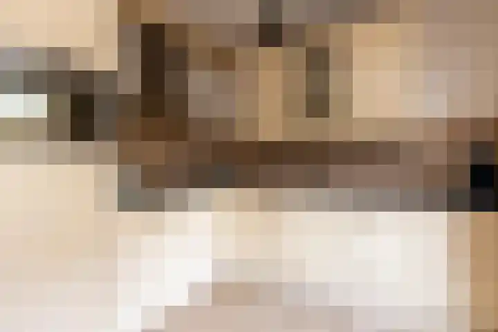 Molenakker 7 Berkel-Enschot thumbnail 17