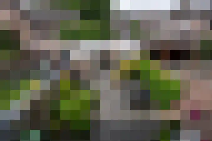 Molenakker 7 Berkel-Enschot thumbnail 20