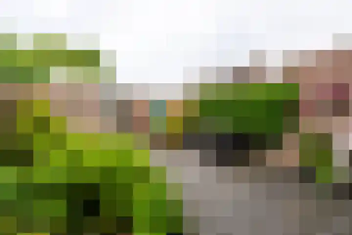 Molenakker 7 Berkel-Enschot thumbnail 30