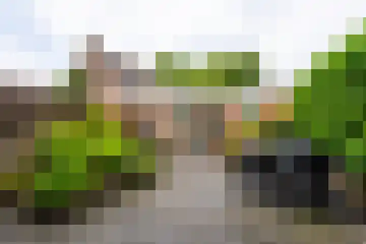 Molenakker 7 Berkel-Enschot thumbnail 31