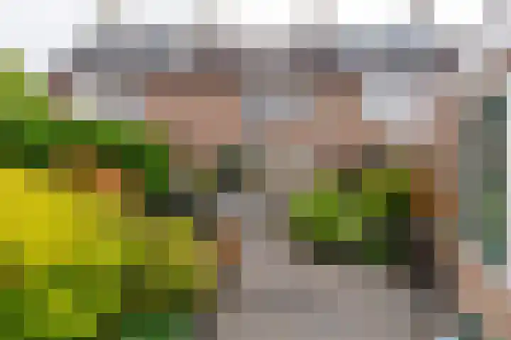 Molenakker 7 Berkel-Enschot thumbnail 34