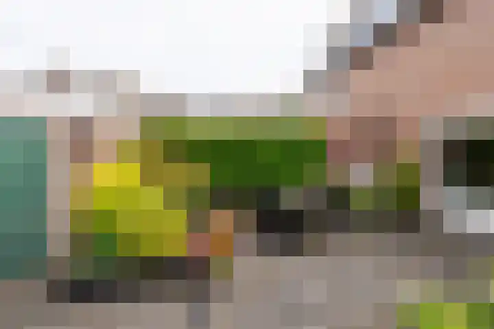 Molenakker 7 Berkel-Enschot thumbnail 35