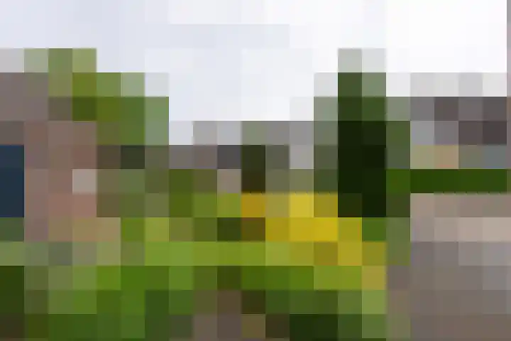 Molenakker 7 Berkel-Enschot thumbnail 36