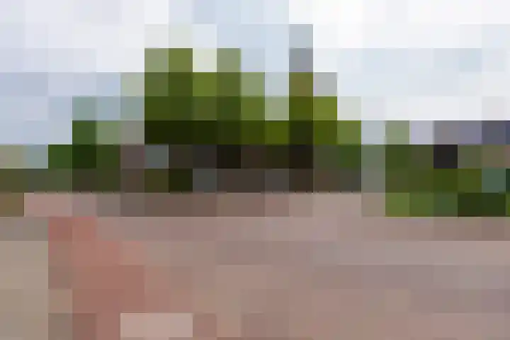 Molenakker 7 Berkel-Enschot thumbnail 37