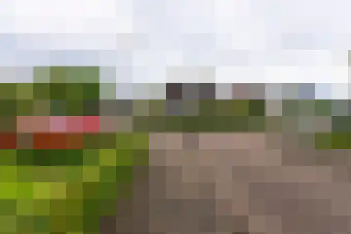 Molenakker 7 Berkel-Enschot thumbnail 38