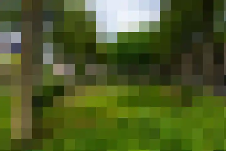 Molenakker 7 Berkel-Enschot thumbnail 39