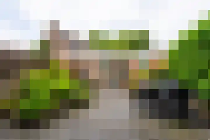 Molenakker 7 Berkel-Enschot thumbnail 5
