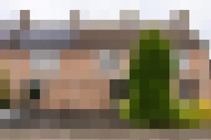 Molenakker 7 Berkel-Enschot thumbnail 6