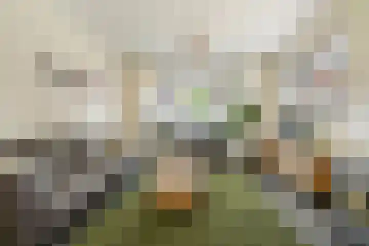 Molenakker 8 Den Hout thumbnail 10