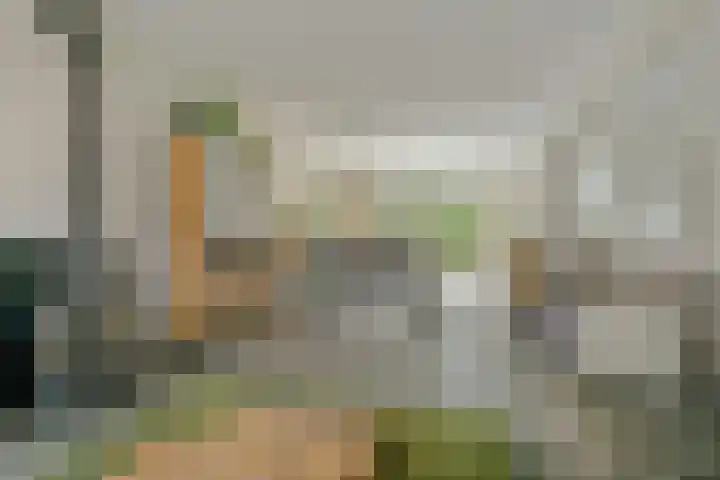 Molenakker 8 Den Hout thumbnail 12