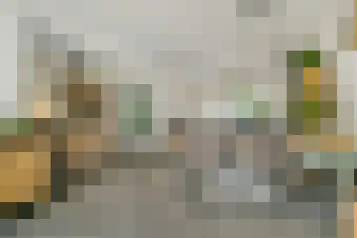 Molenakker 8 Den Hout thumbnail 13